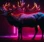 Grinning Elk Music Co.